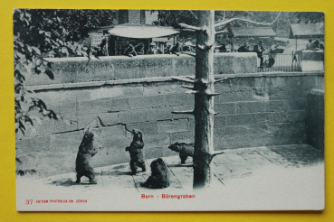 Ansichtskarte AK Bern / Bärengraben / 1900 / Bären – Souvenier Stände – Bär